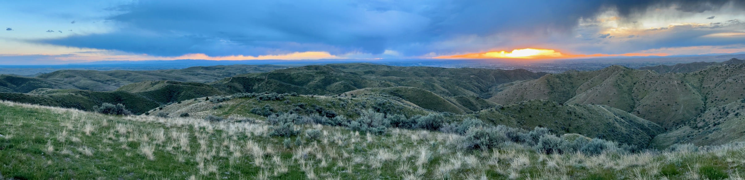 Treasure Valley Landscape